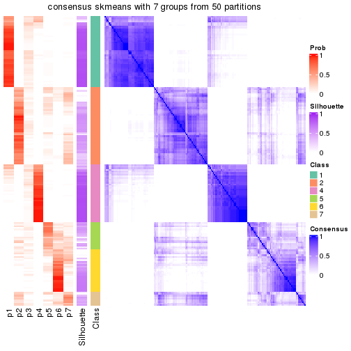 plot of chunk tab-node-022-consensus-heatmap-6