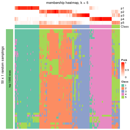 plot of chunk tab-node-022-membership-heatmap-4