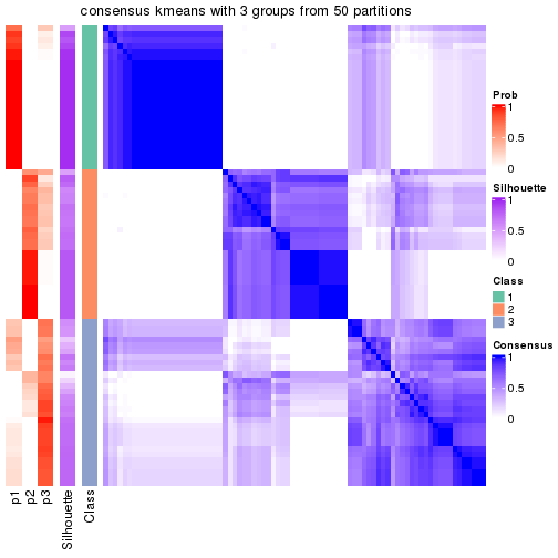 plot of chunk tab-node-0221-consensus-heatmap-2