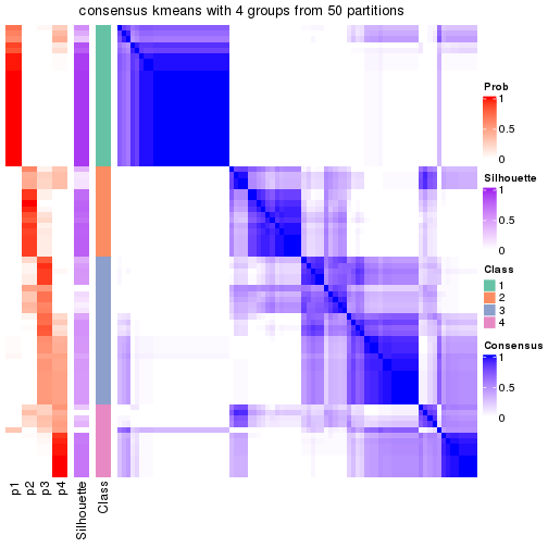 plot of chunk tab-node-0221-consensus-heatmap-3