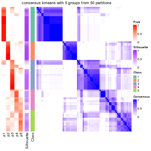 plot of chunk tab-node-0221-consensus-heatmap-4