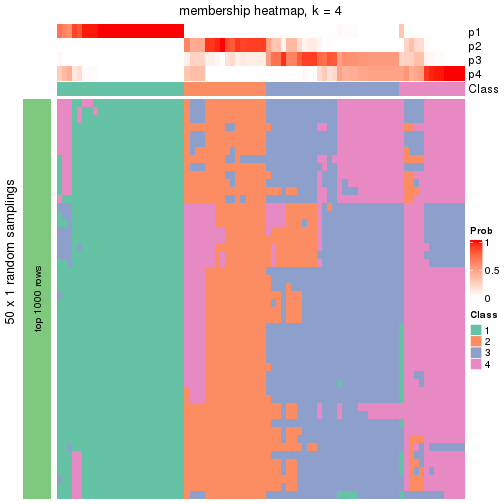 plot of chunk tab-node-0221-membership-heatmap-3