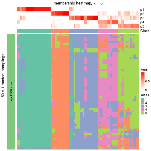 plot of chunk tab-node-0221-membership-heatmap-4