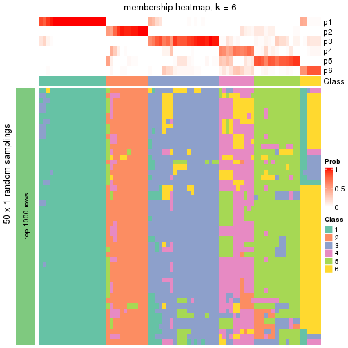 plot of chunk tab-node-0221-membership-heatmap-5