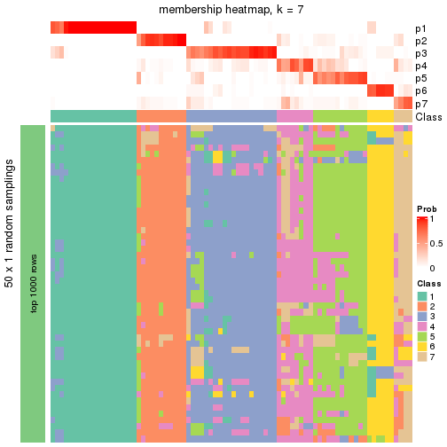 plot of chunk tab-node-0221-membership-heatmap-6