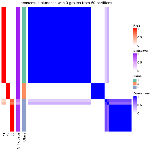 plot of chunk tab-node-02211-consensus-heatmap-2