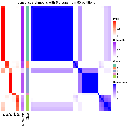 plot of chunk tab-node-02211-consensus-heatmap-4