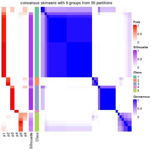 plot of chunk tab-node-02211-consensus-heatmap-5