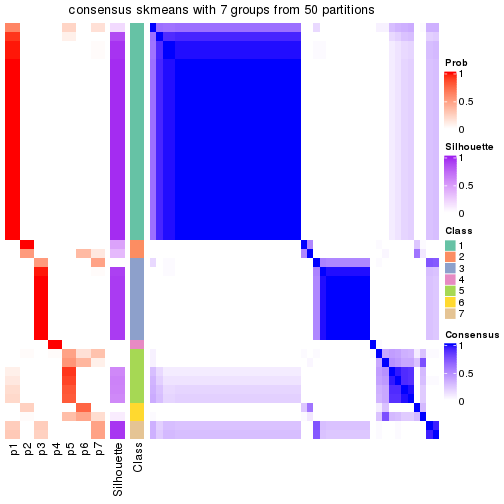 plot of chunk tab-node-02211-consensus-heatmap-6