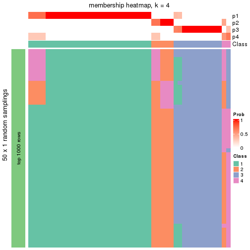 plot of chunk tab-node-02211-membership-heatmap-3