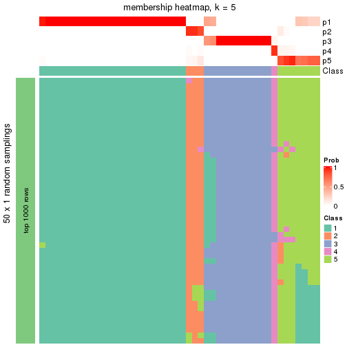 plot of chunk tab-node-02211-membership-heatmap-4