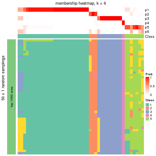 plot of chunk tab-node-02211-membership-heatmap-5