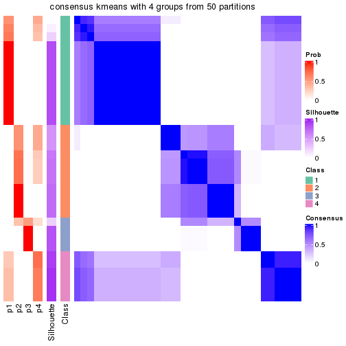 plot of chunk tab-node-02212-consensus-heatmap-3