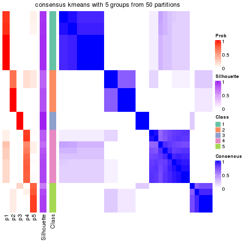 plot of chunk tab-node-02212-consensus-heatmap-4