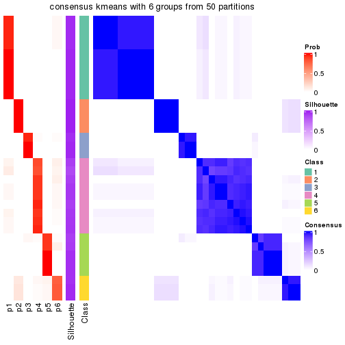 plot of chunk tab-node-02212-consensus-heatmap-5