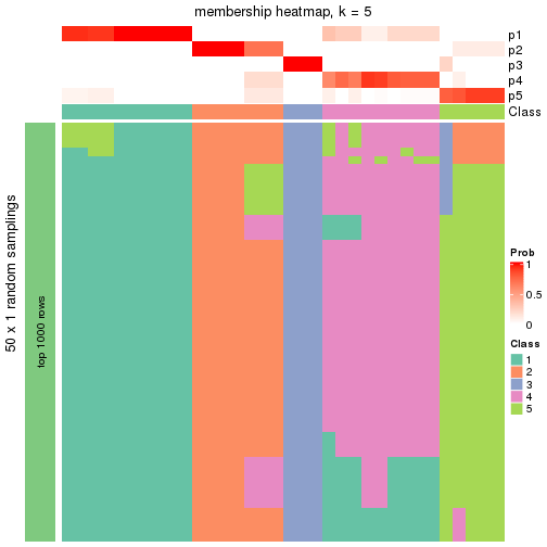 plot of chunk tab-node-02212-membership-heatmap-4