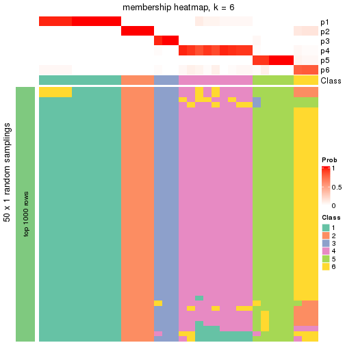 plot of chunk tab-node-02212-membership-heatmap-5