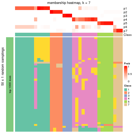 plot of chunk tab-node-02212-membership-heatmap-6