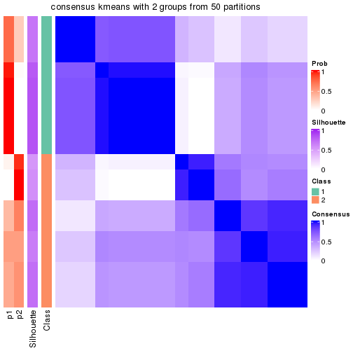 plot of chunk tab-node-022121-consensus-heatmap-1