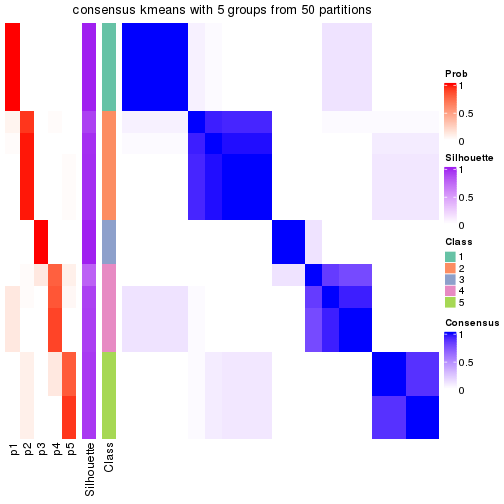 plot of chunk tab-node-022121-consensus-heatmap-4