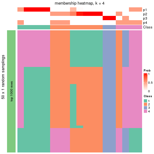 plot of chunk tab-node-022121-membership-heatmap-3