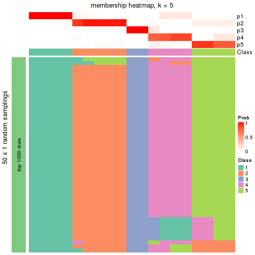 plot of chunk tab-node-022121-membership-heatmap-4