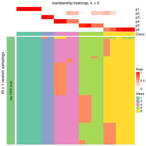 plot of chunk tab-node-022121-membership-heatmap-5