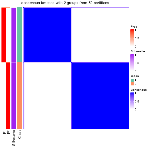 plot of chunk tab-node-0222-consensus-heatmap-1