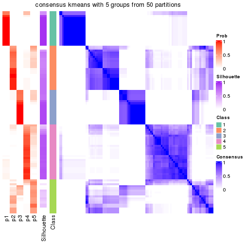 plot of chunk tab-node-0222-consensus-heatmap-4