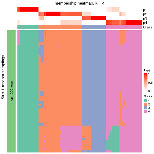 plot of chunk tab-node-0222-membership-heatmap-3