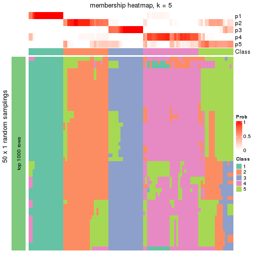 plot of chunk tab-node-0222-membership-heatmap-4