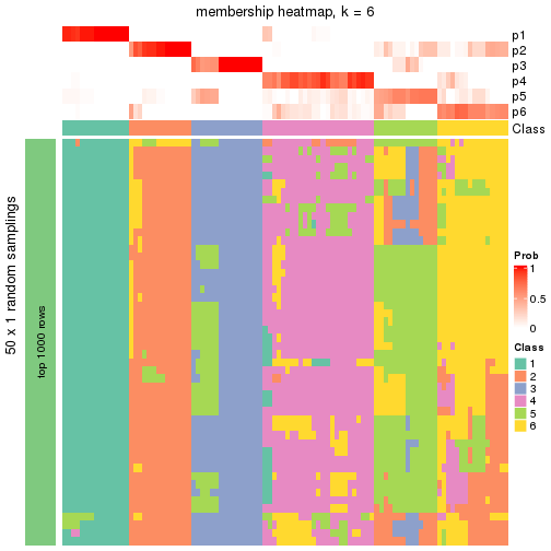 plot of chunk tab-node-0222-membership-heatmap-5