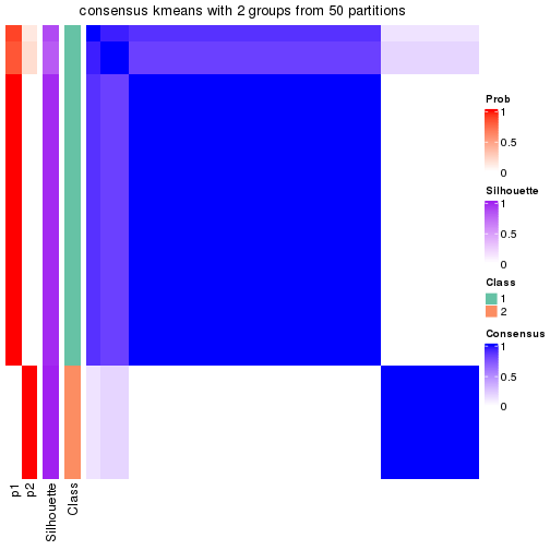 plot of chunk tab-node-02221-consensus-heatmap-1