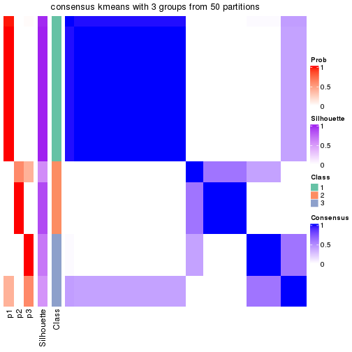 plot of chunk tab-node-02221-consensus-heatmap-2