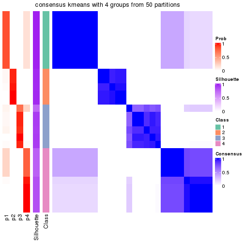 plot of chunk tab-node-02221-consensus-heatmap-3