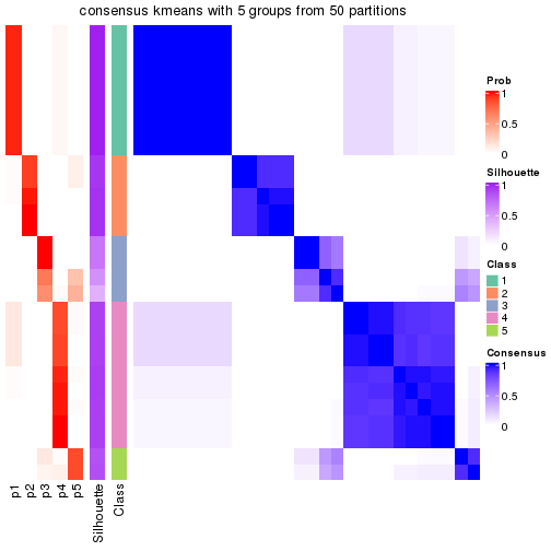 plot of chunk tab-node-02221-consensus-heatmap-4