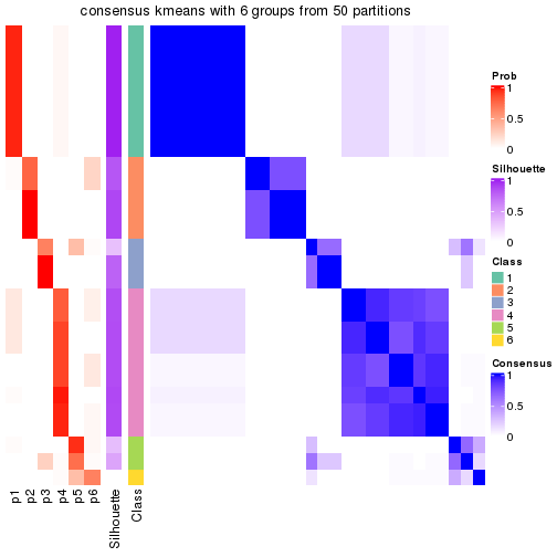 plot of chunk tab-node-02221-consensus-heatmap-5