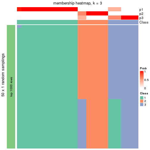 plot of chunk tab-node-02221-membership-heatmap-2