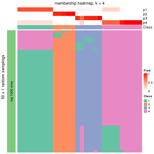 plot of chunk tab-node-02221-membership-heatmap-3