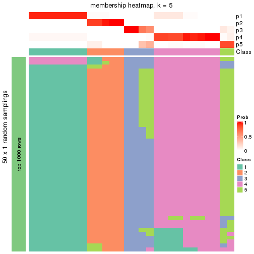 plot of chunk tab-node-02221-membership-heatmap-4