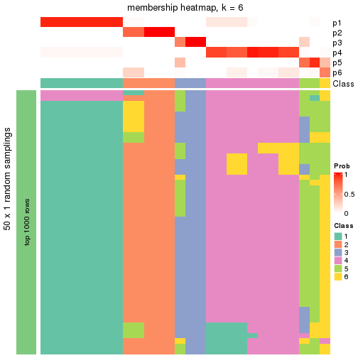 plot of chunk tab-node-02221-membership-heatmap-5