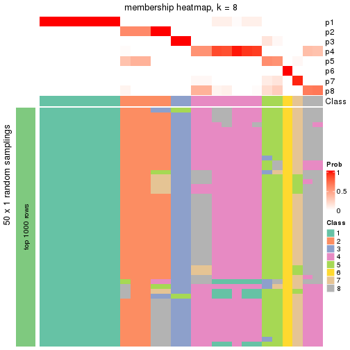 plot of chunk tab-node-02221-membership-heatmap-7