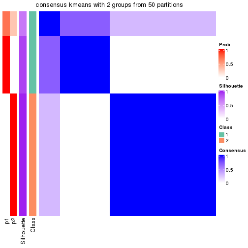 plot of chunk tab-node-02223-consensus-heatmap-1