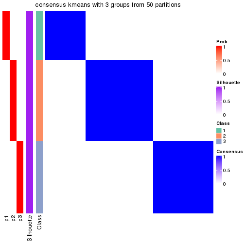 plot of chunk tab-node-02223-consensus-heatmap-2