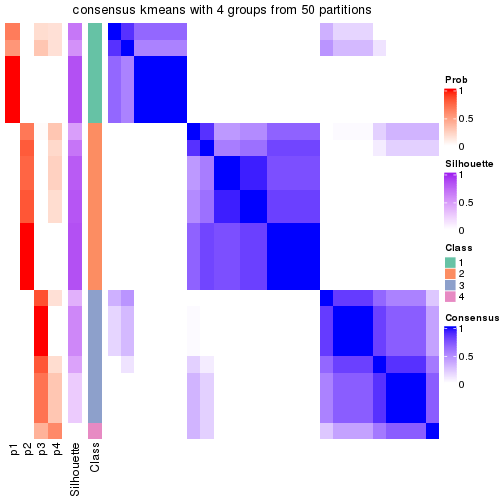 plot of chunk tab-node-02223-consensus-heatmap-3