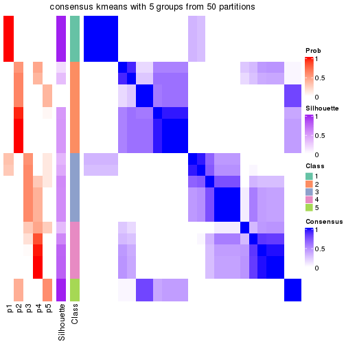 plot of chunk tab-node-02223-consensus-heatmap-4