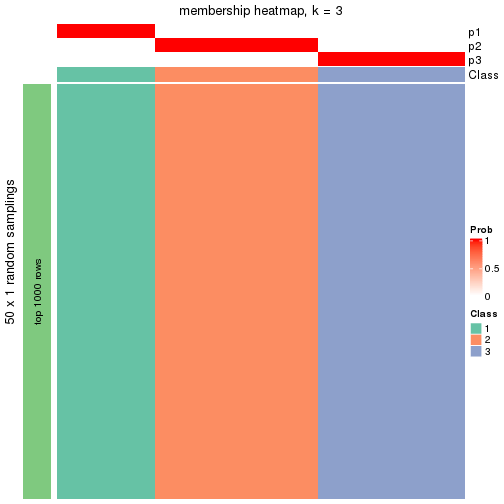 plot of chunk tab-node-02223-membership-heatmap-2