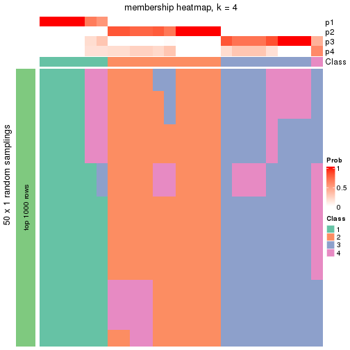 plot of chunk tab-node-02223-membership-heatmap-3