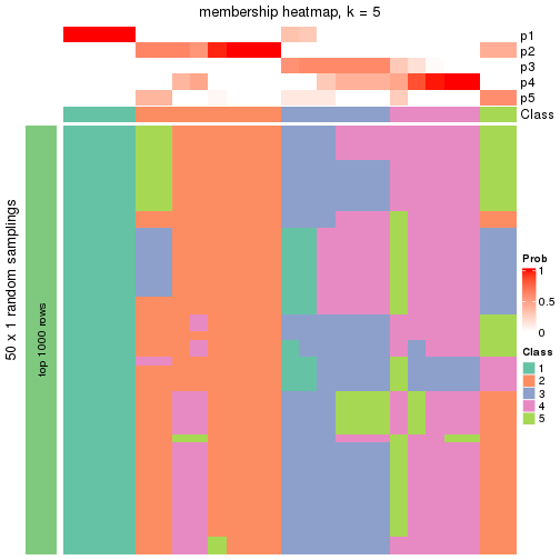 plot of chunk tab-node-02223-membership-heatmap-4