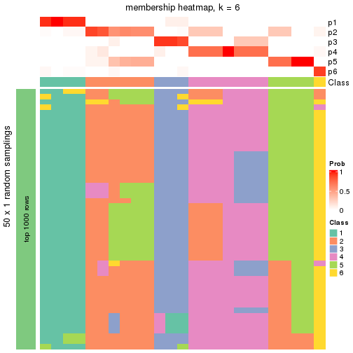 plot of chunk tab-node-02223-membership-heatmap-5